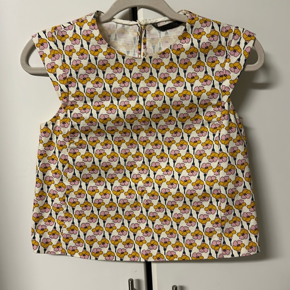 Trafaluc crop top